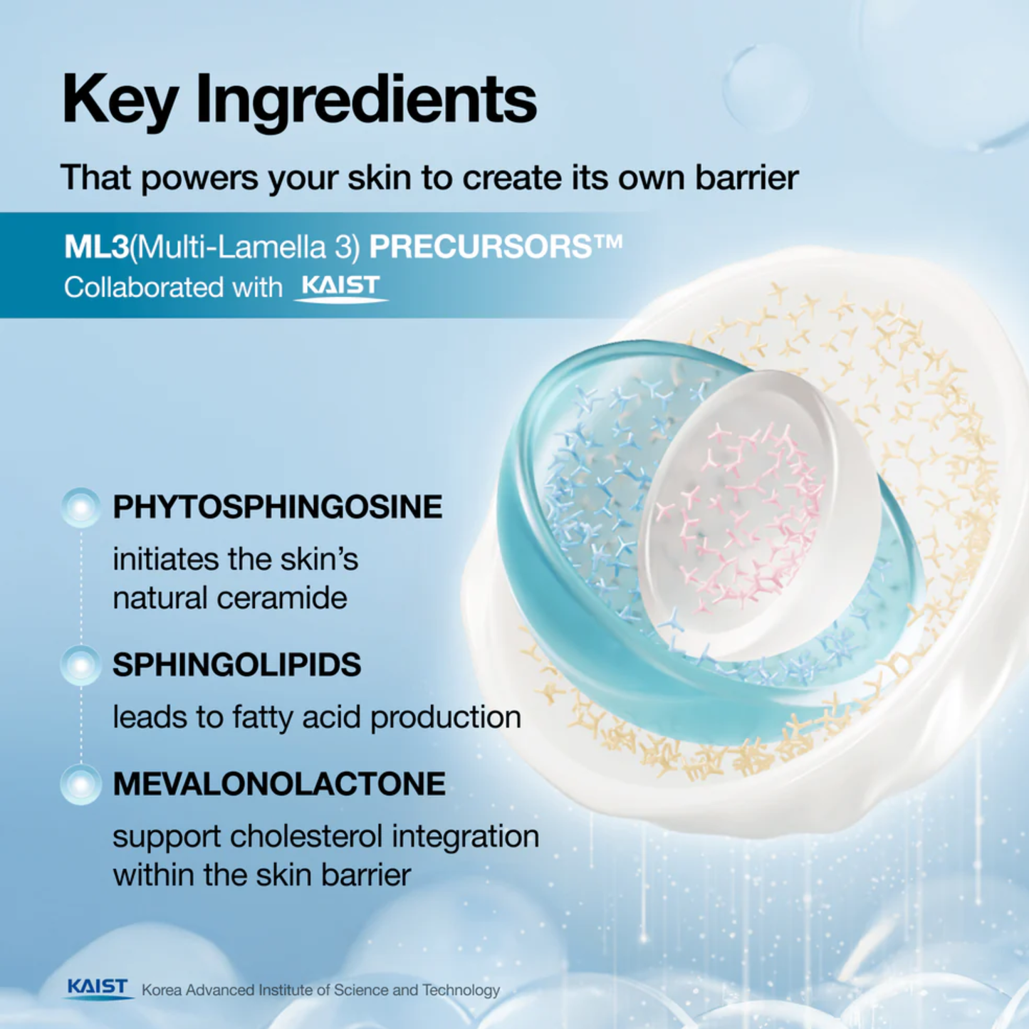Anua Barrier Reboot Intensive Cream