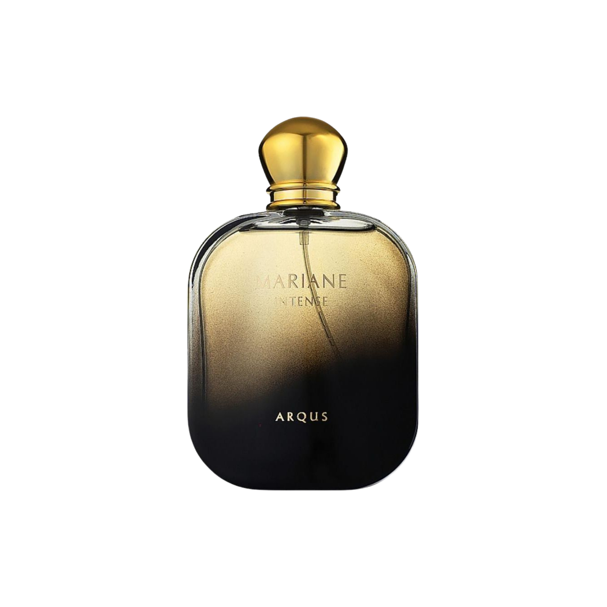 Arqus Mariane Intense Eau De Parfum For Men