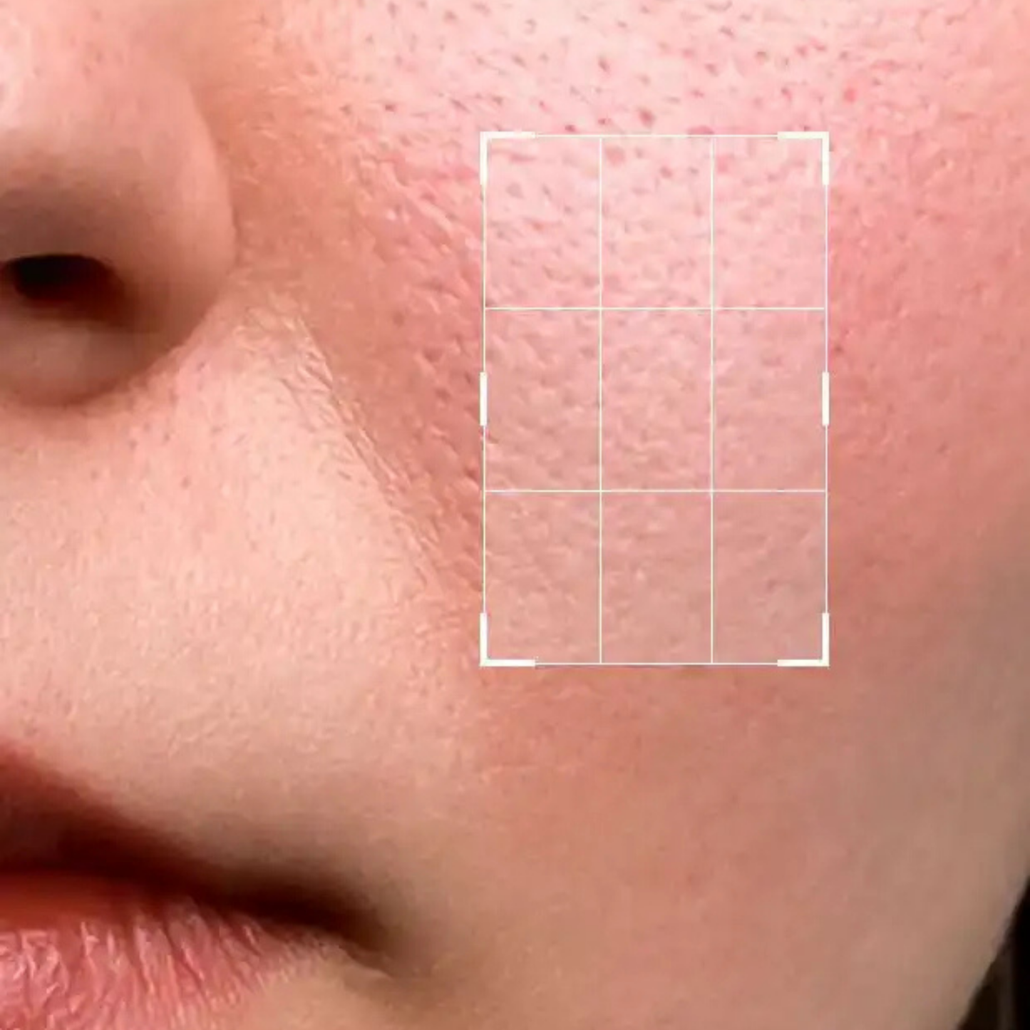 Beautenic Niacinamide 5% Serum