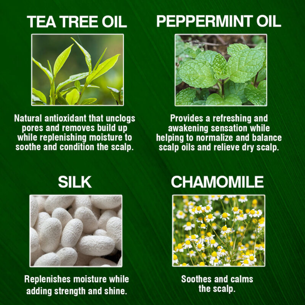 CHI Tea Tree Oil Shampoo