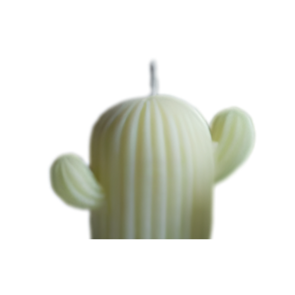Candle Wick Store Cactus Candle