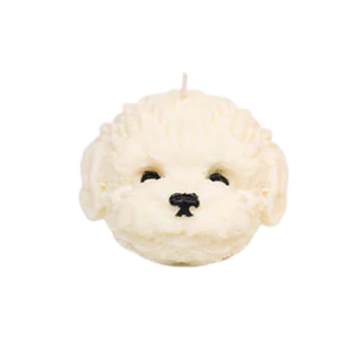 Candle Wick Store Puppy Face Candle