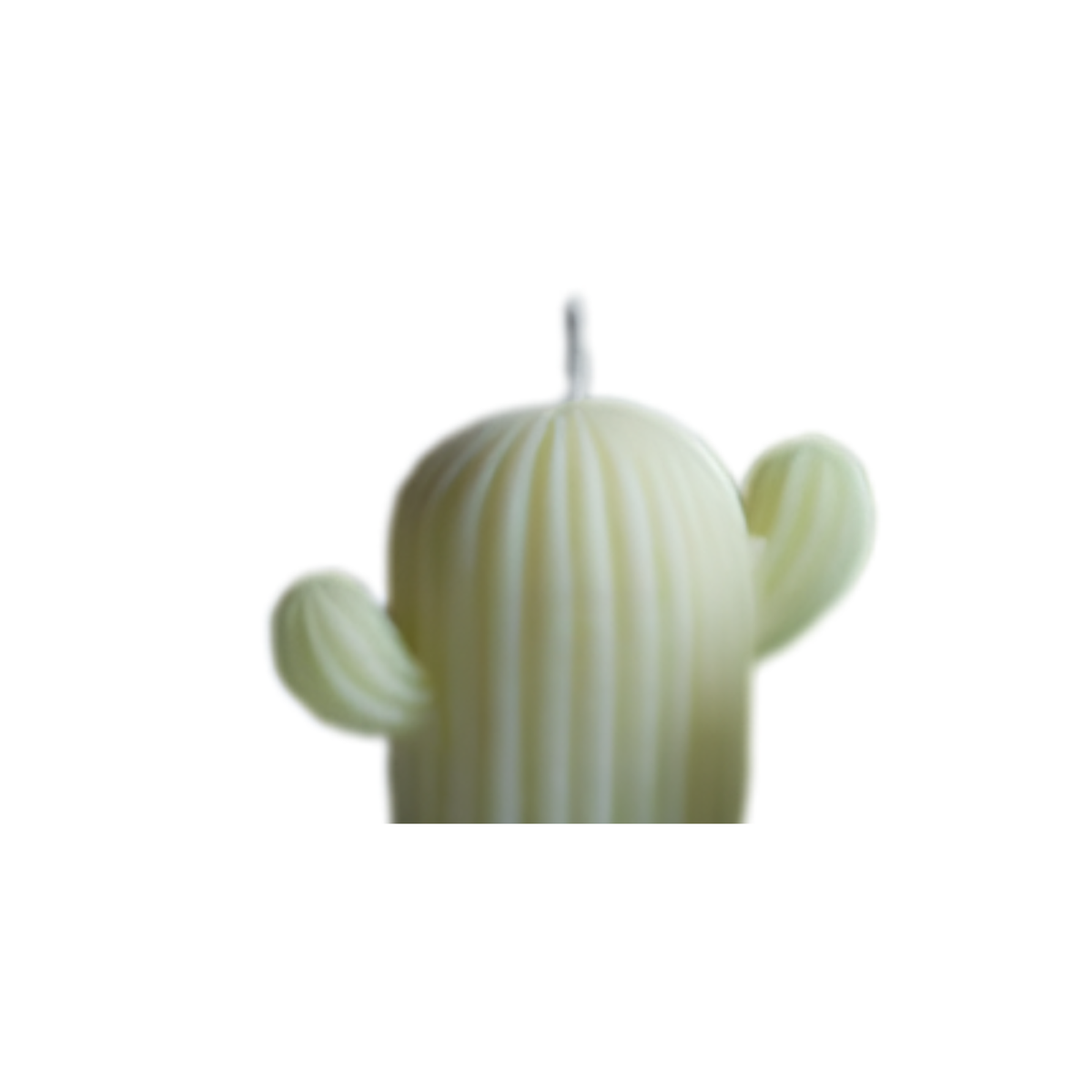 Candle Wick Store Cactus Candle