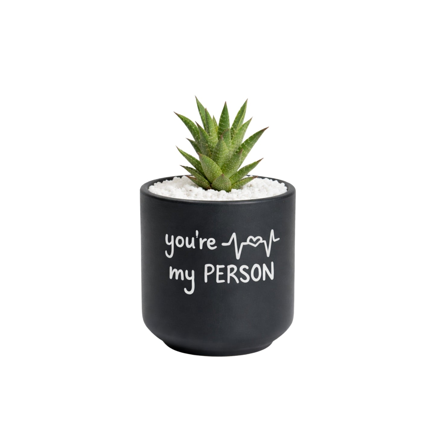 Candle Wick Store Planter Youre My Person (Only Available in Karachi)