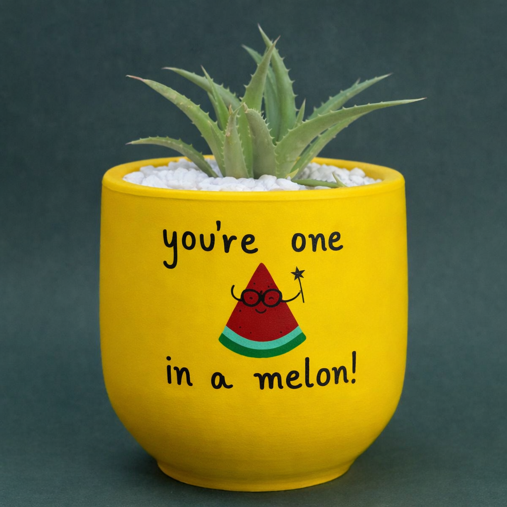 Candle Wick Store Planter Youre One In A Melon Only Available in Karachi