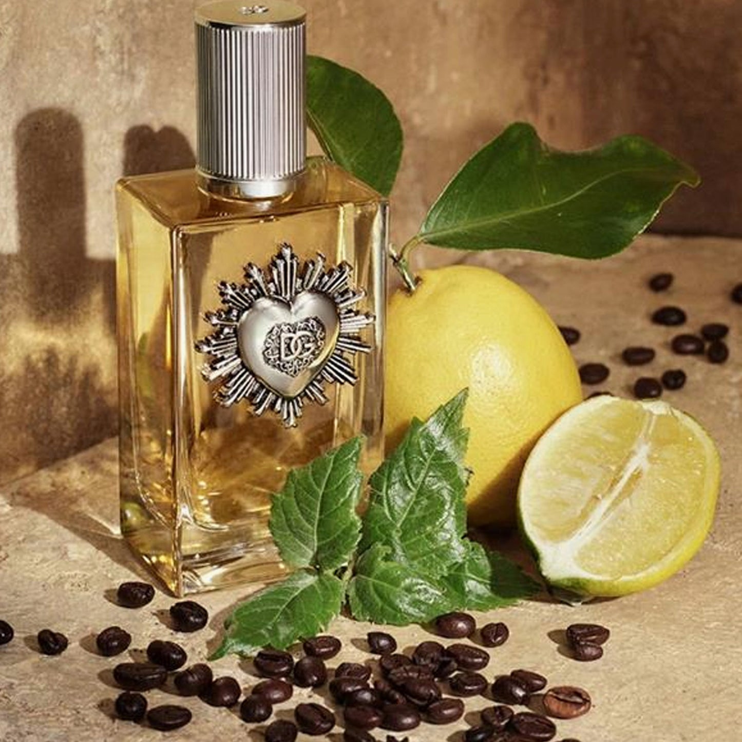Dolce & Gabbana Devotion Eau De Parfum Pour Homme 100ml