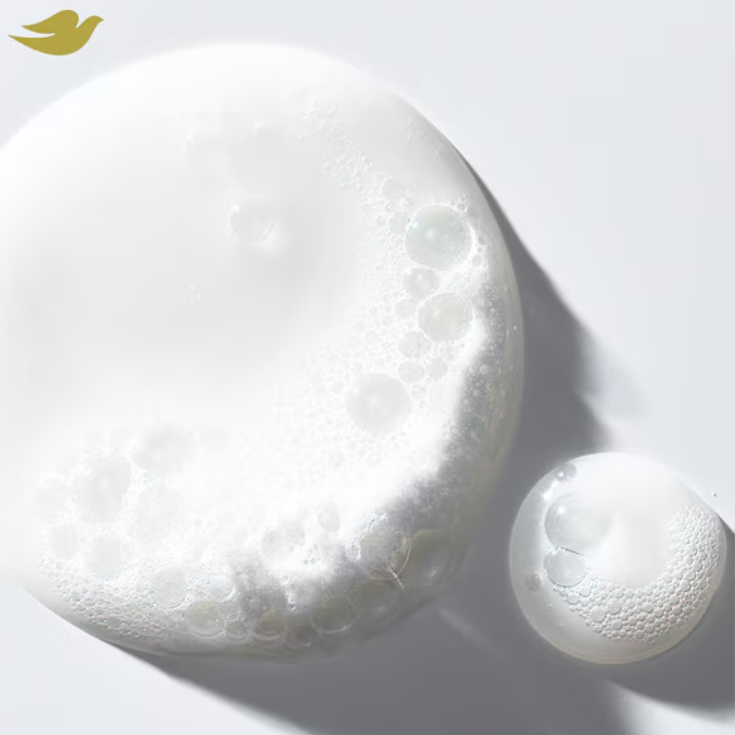 Dove Damage Therapy Argan Oil & Repair Shampoo