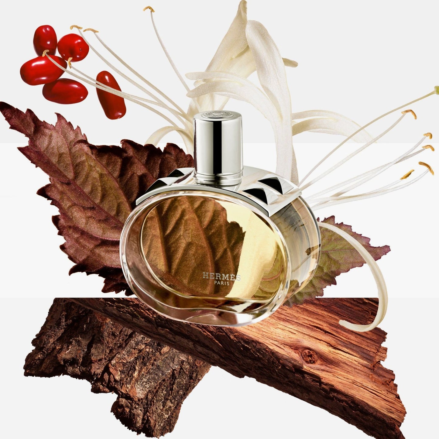 Hermes Barenia Eau De Parfum For Women 100ml