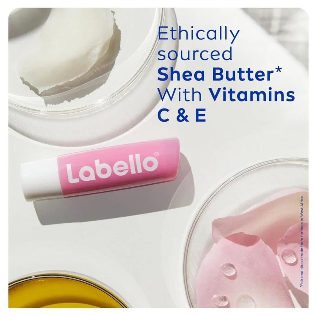 Labello 24h Melt-in Moisture Lip Balm 4.8gm