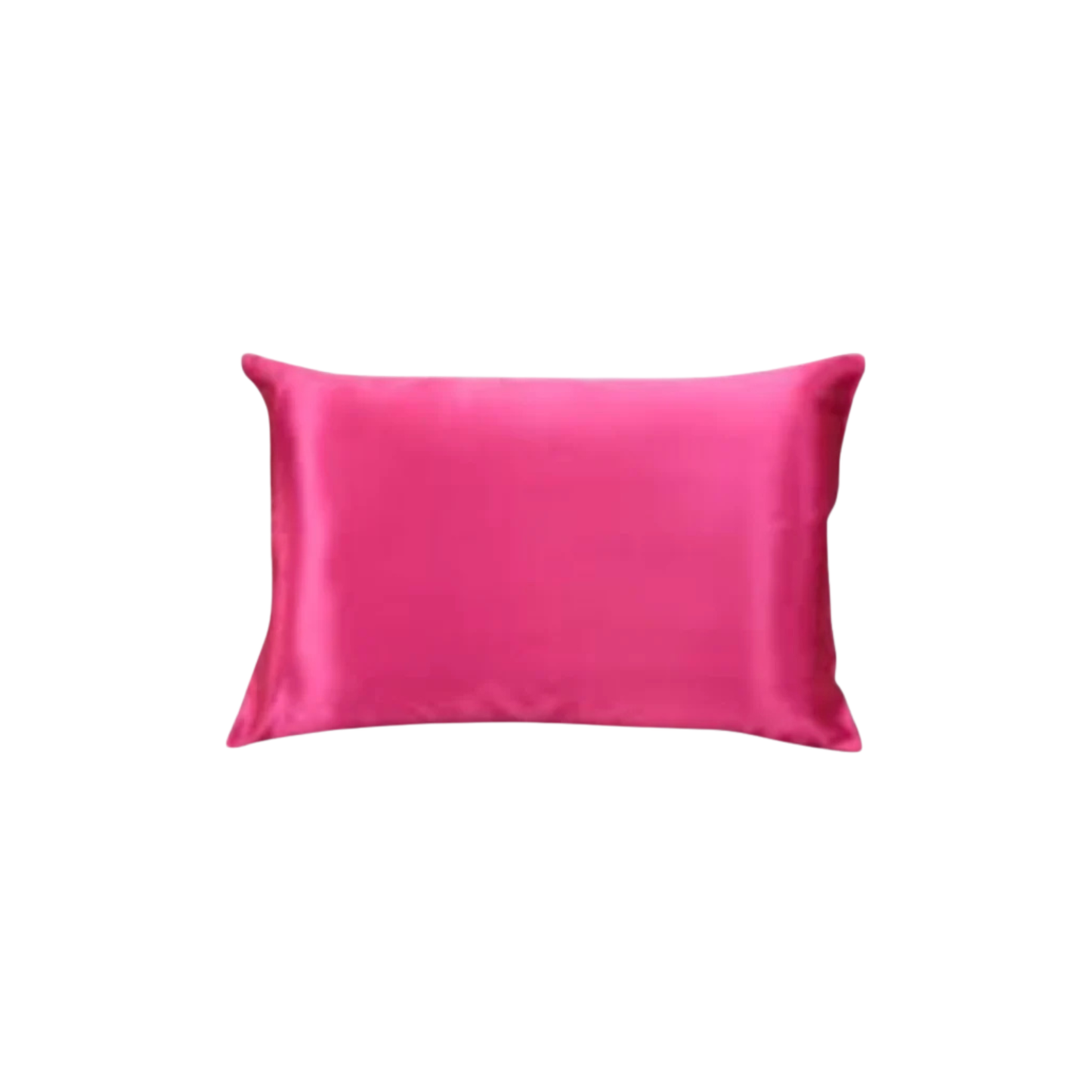GOmicro Silk Pillow Cover