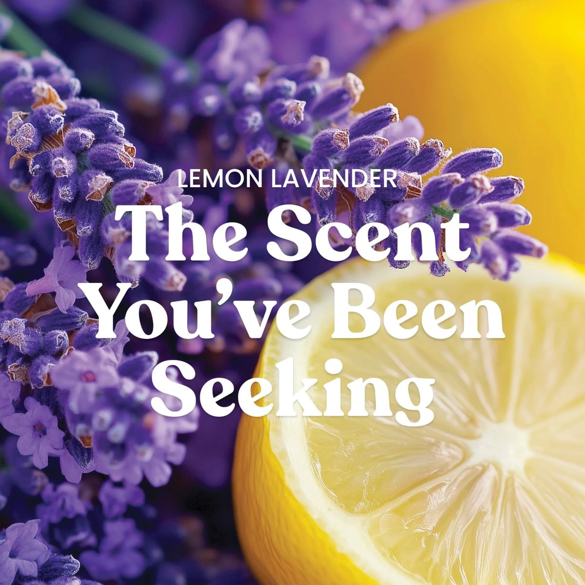 Yankee Lemon Lavender Scented Candle