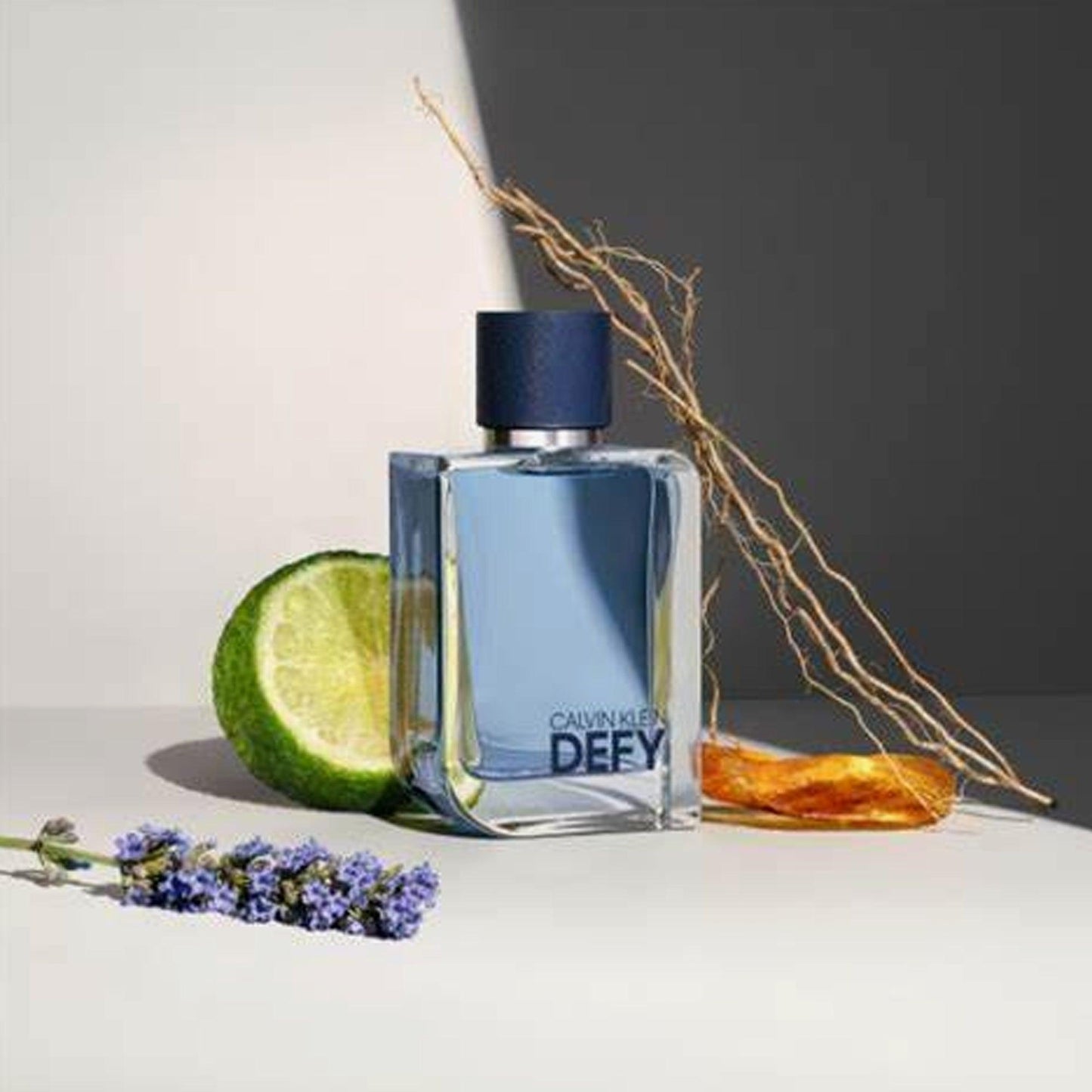 Calvin Klein Defy Eau de Toilette For Men 100ml